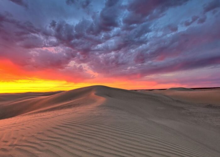 Aral Sea Discovery